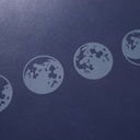 The Luna Carry Sleeve 43 (14")